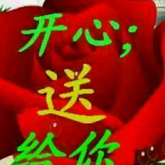 豫P在新F（靳先生）