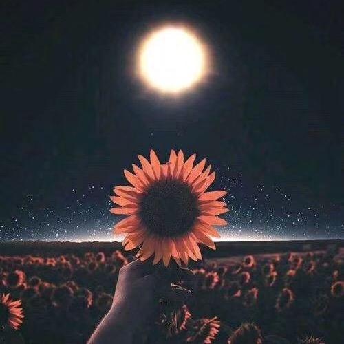 称子