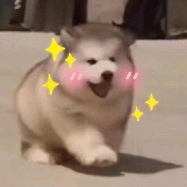 是墨毅呀
