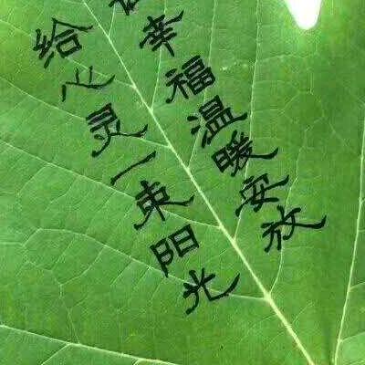 喜欢你的天真