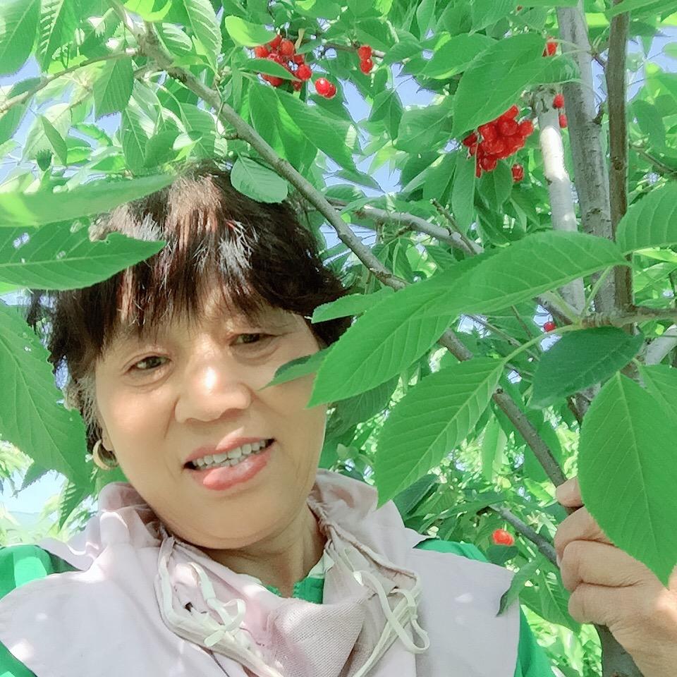 美丽心情