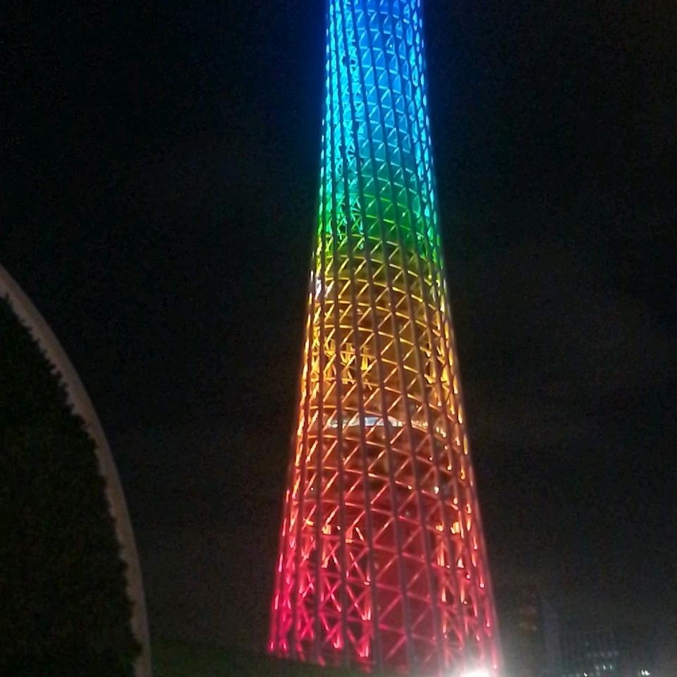 富贵树