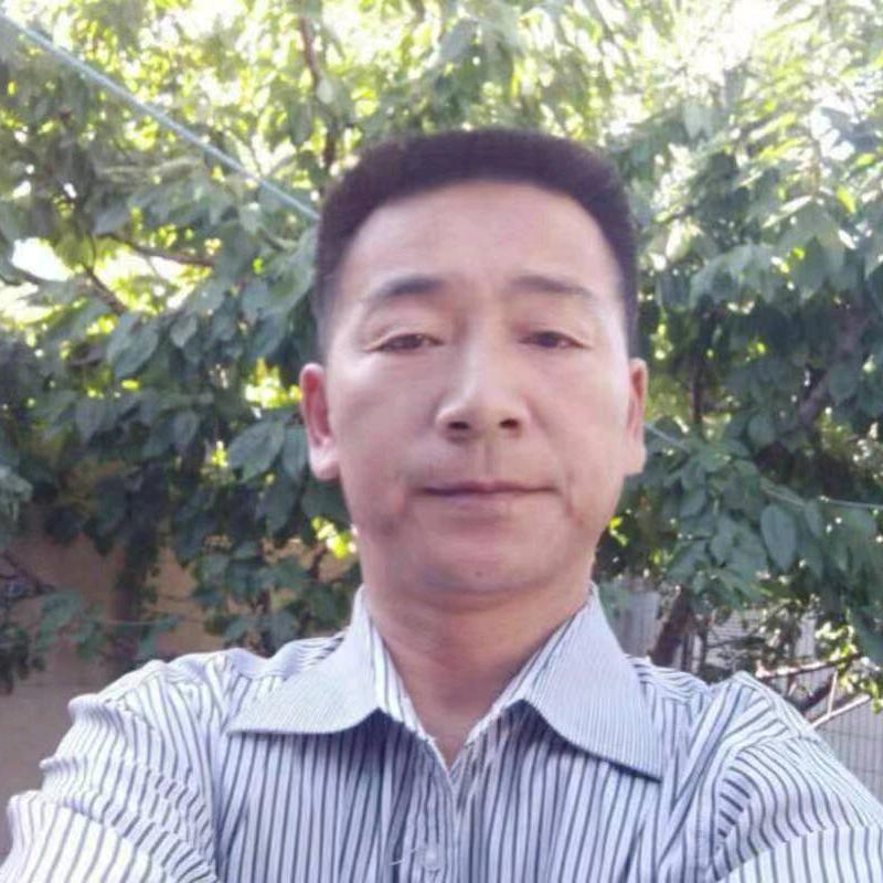 雁南飞