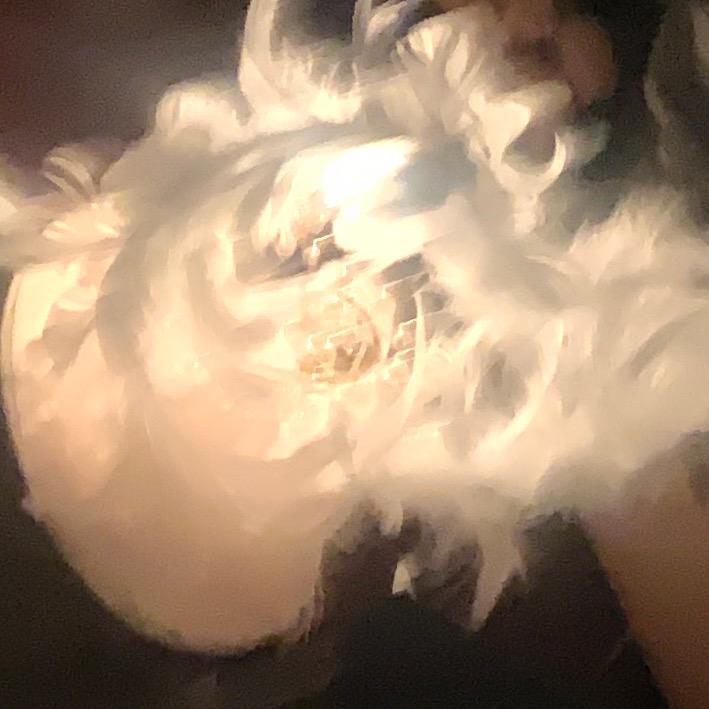 今晚风好大