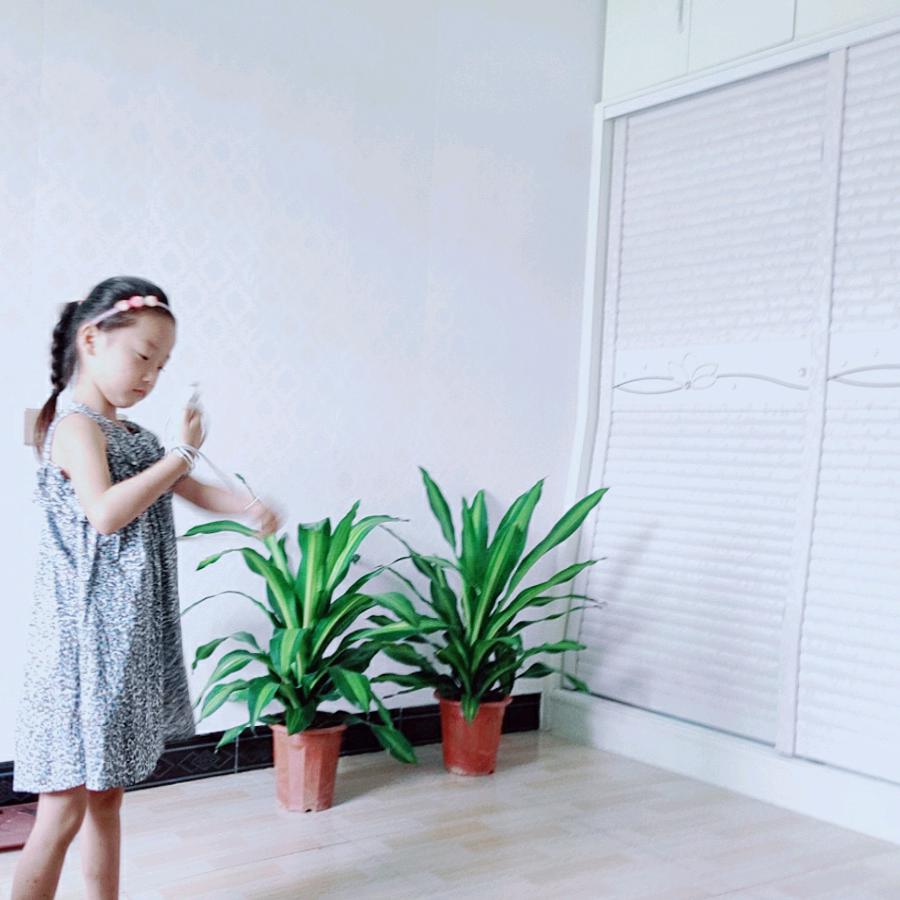 以后的以后