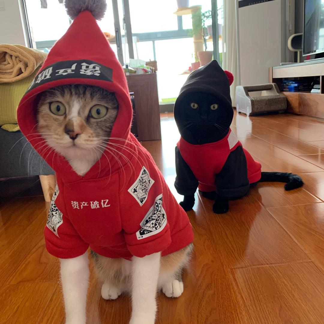 快乐的Kiki et Fifi