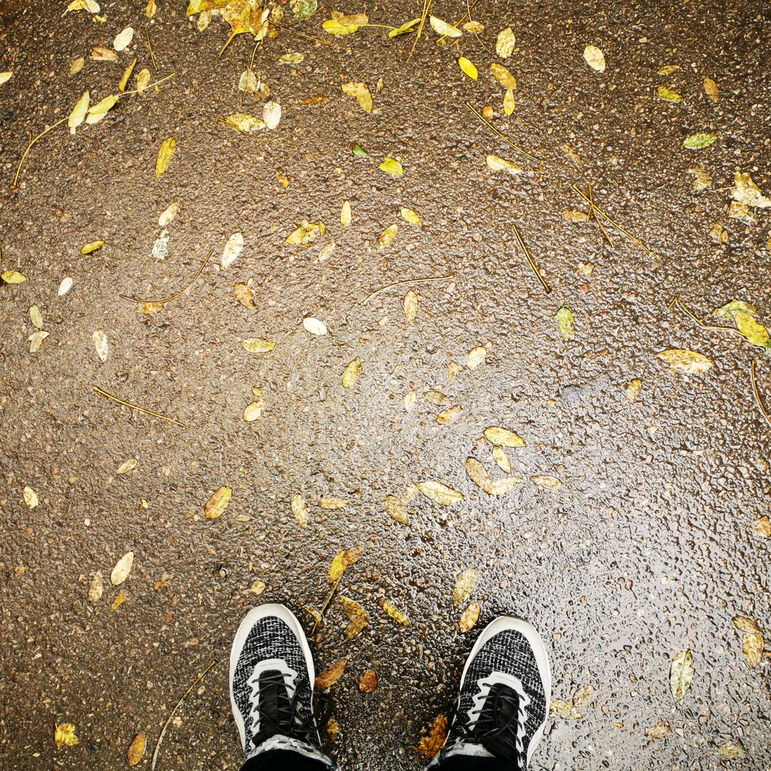 减肥的蓝胖子