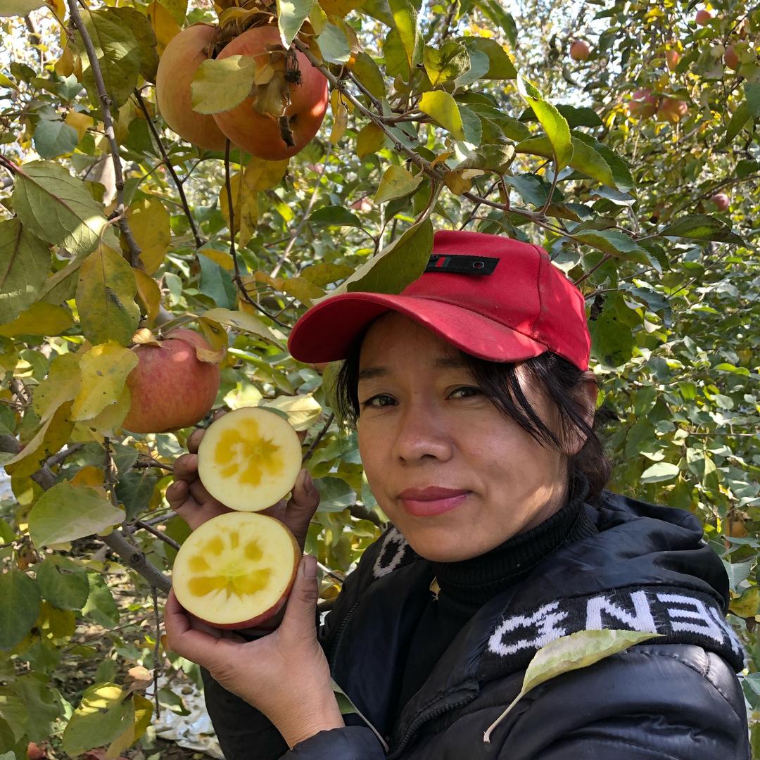 新疆果农郑大姐