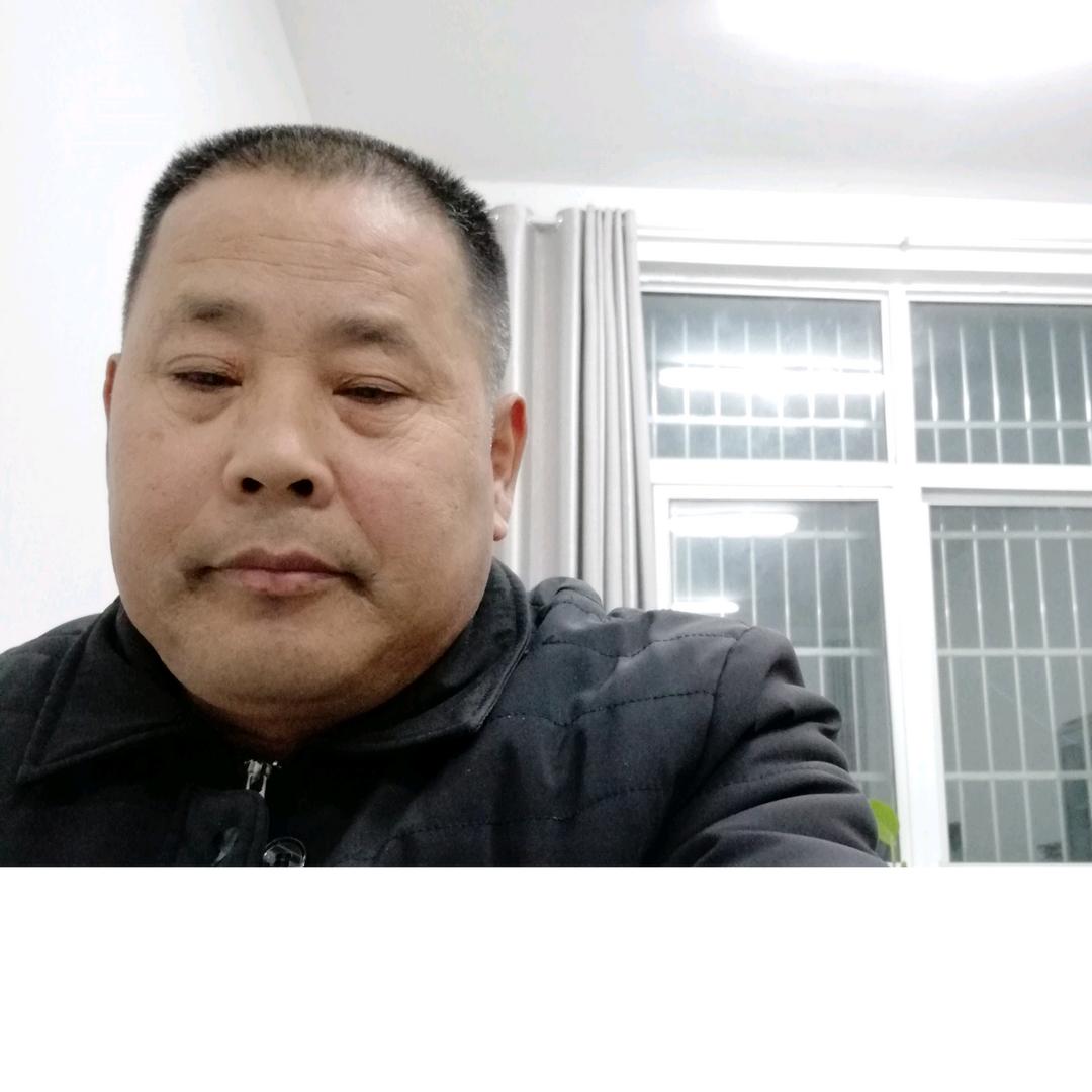 葱茏木