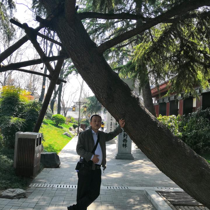 此心安处是我乡