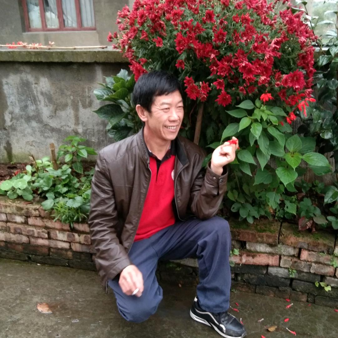 老吴