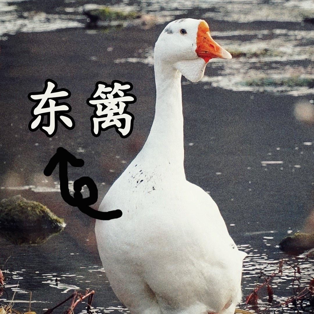 东篱老师
