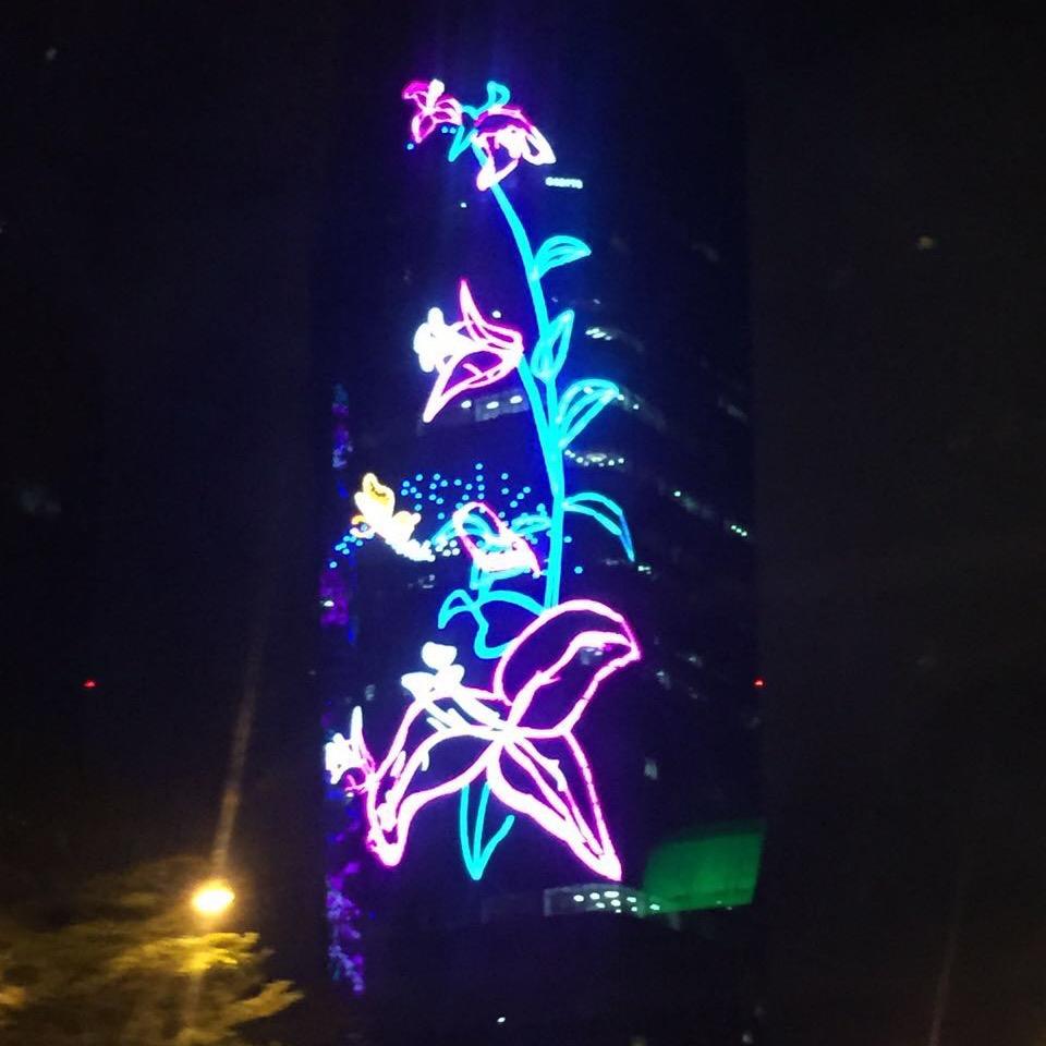 jamo.尊宝