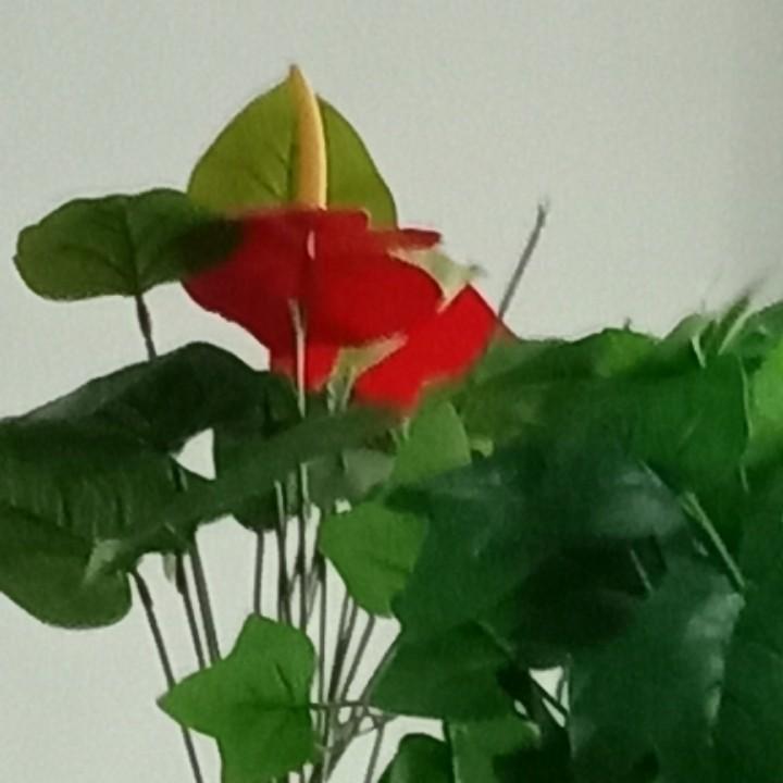 用户1971481562084明天更美好