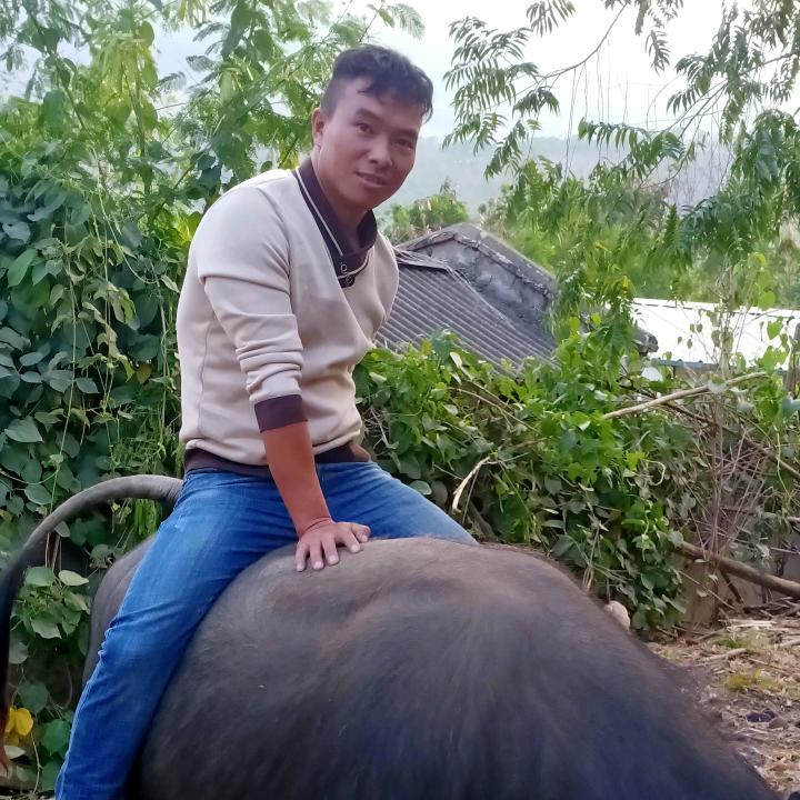 碎银几两催人老。