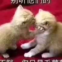 杨林洲烧锅家宴