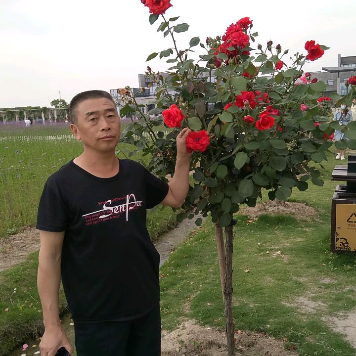 莫愁