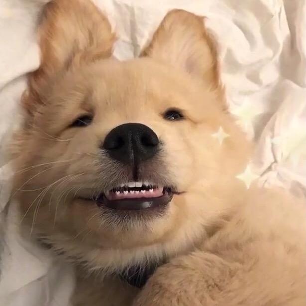 就叫小佩恩吧