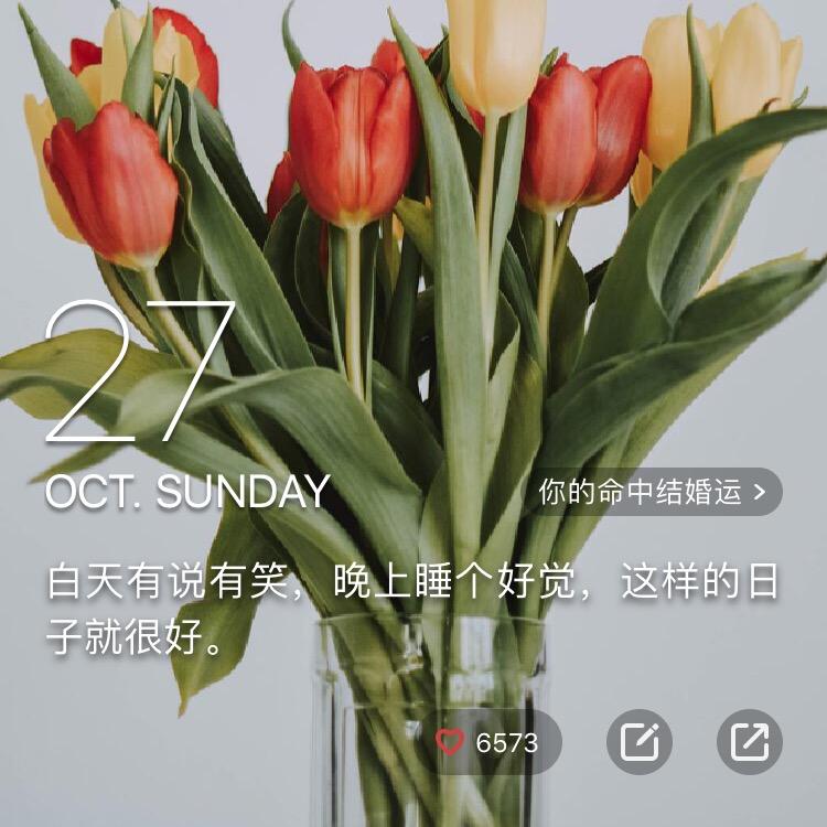 紫色烟花