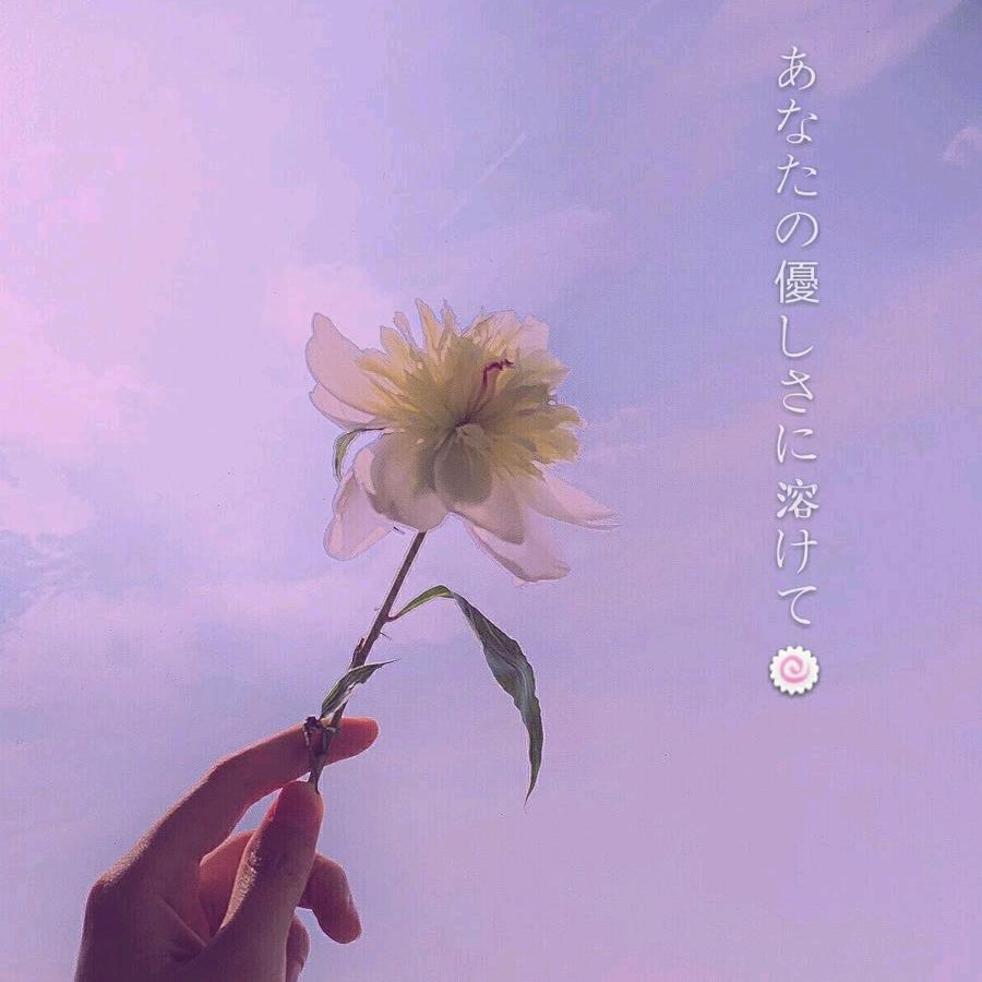 甜甜(*•̀ᴗ•́*)و ̑̑