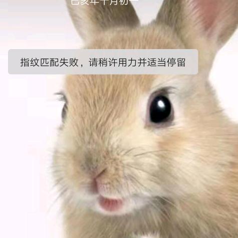 桃子