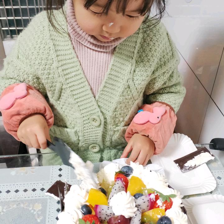 桉邑