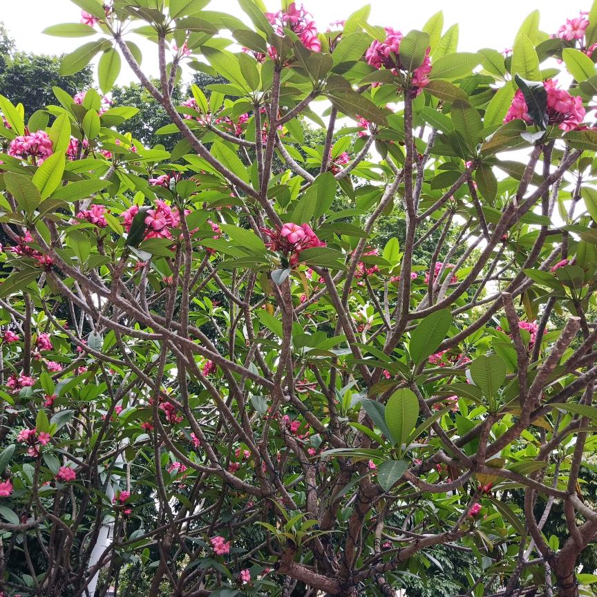 ❤平凡的人生♥(｡￫