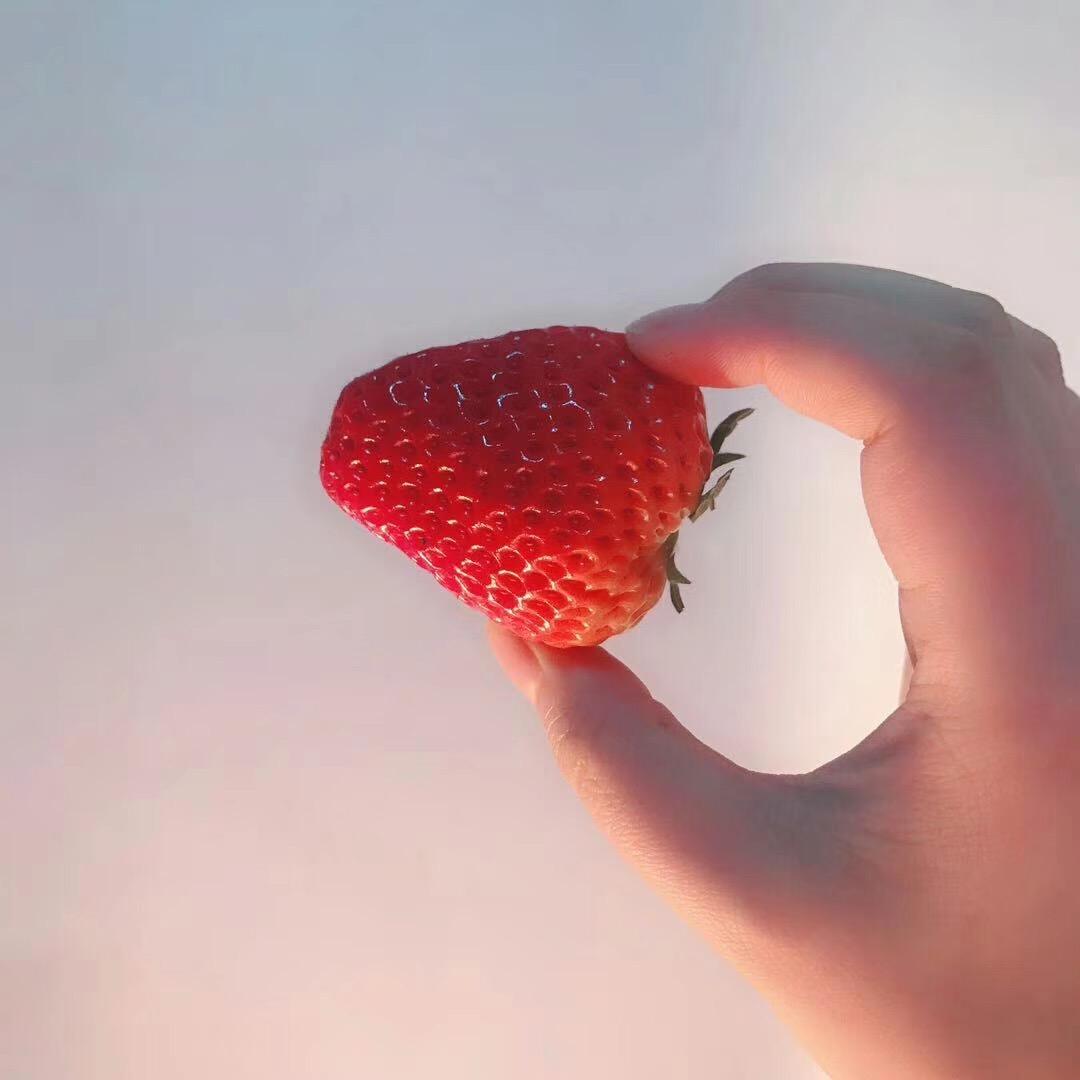 奶油小草莓