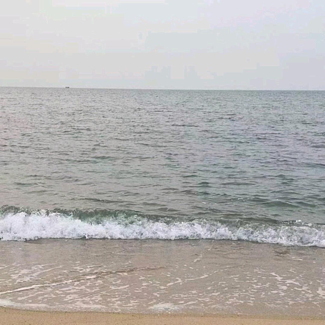 醉闻晚歌