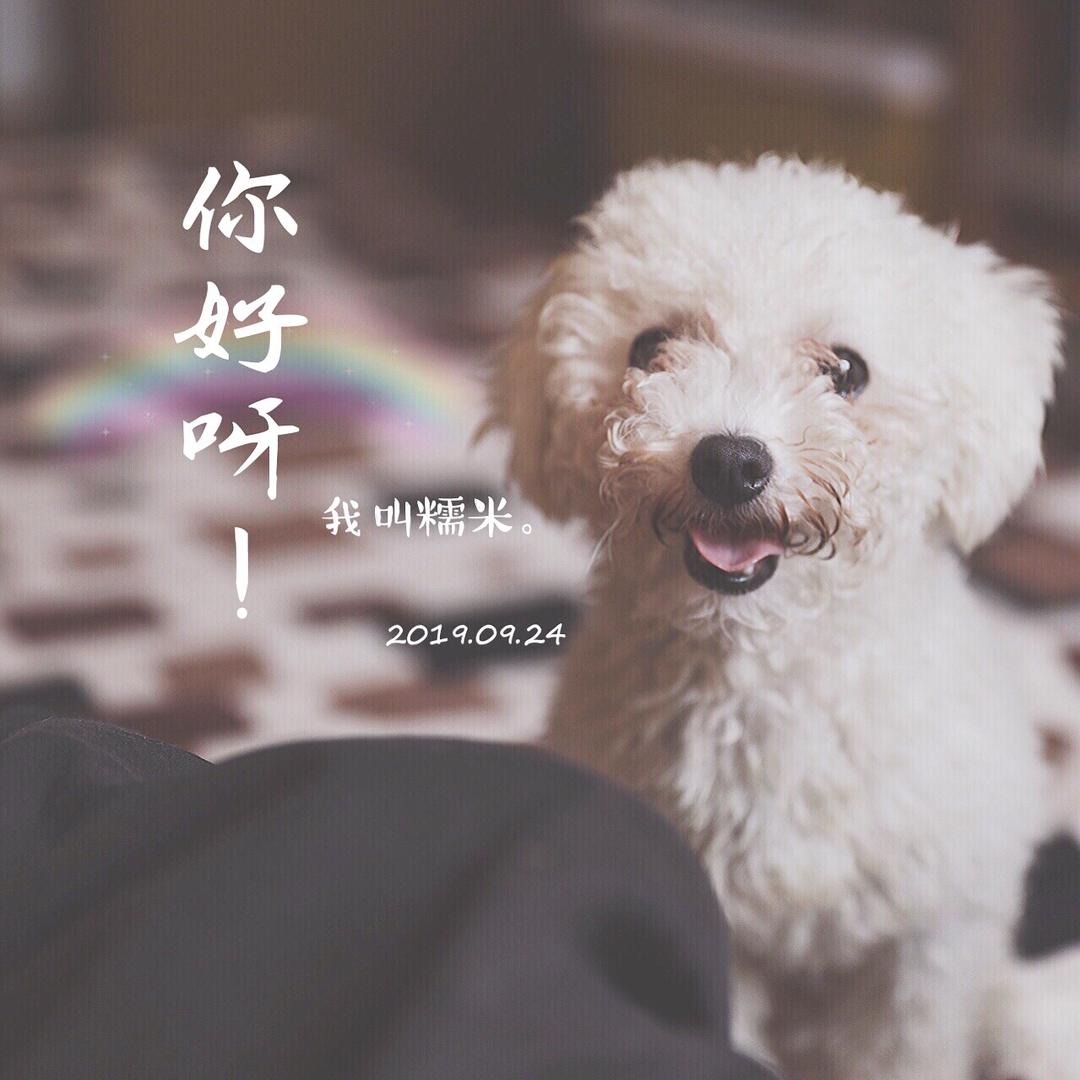 咖喱先生