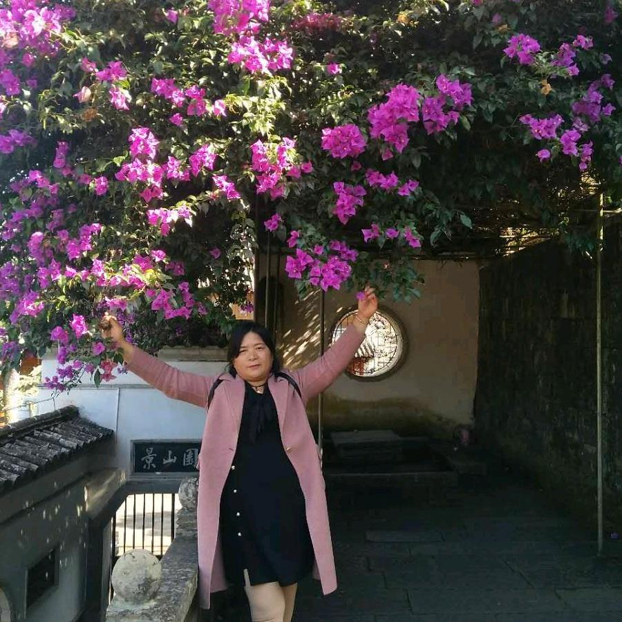 四季花开
