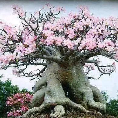 佳纬思羽‘(60后的🐔)拒绝私聊