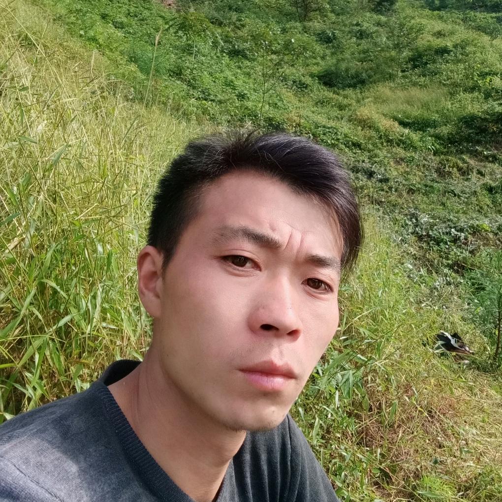 三毛