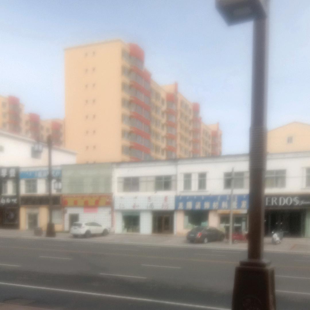 杨/帆起航