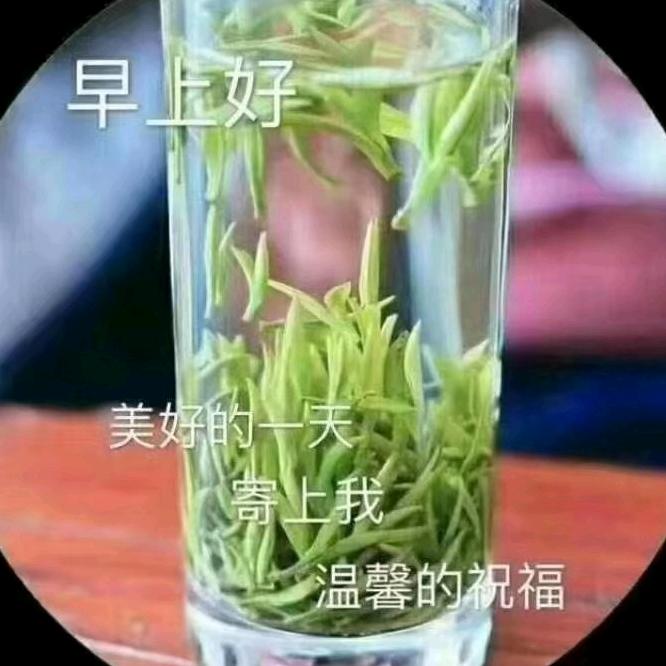 晓语茶行