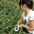 欣欣向荣♪
