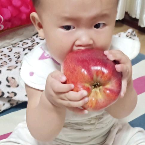 专业拆除，钢材回收