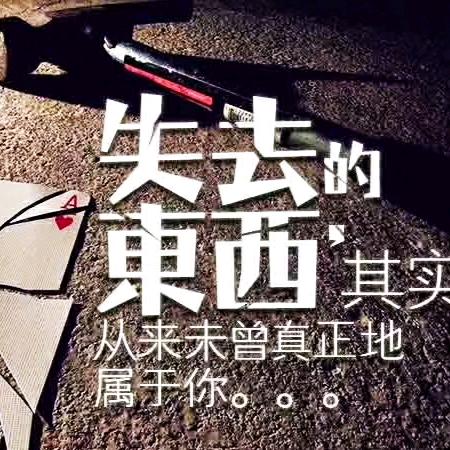 人生随意