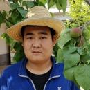 农村葛老三