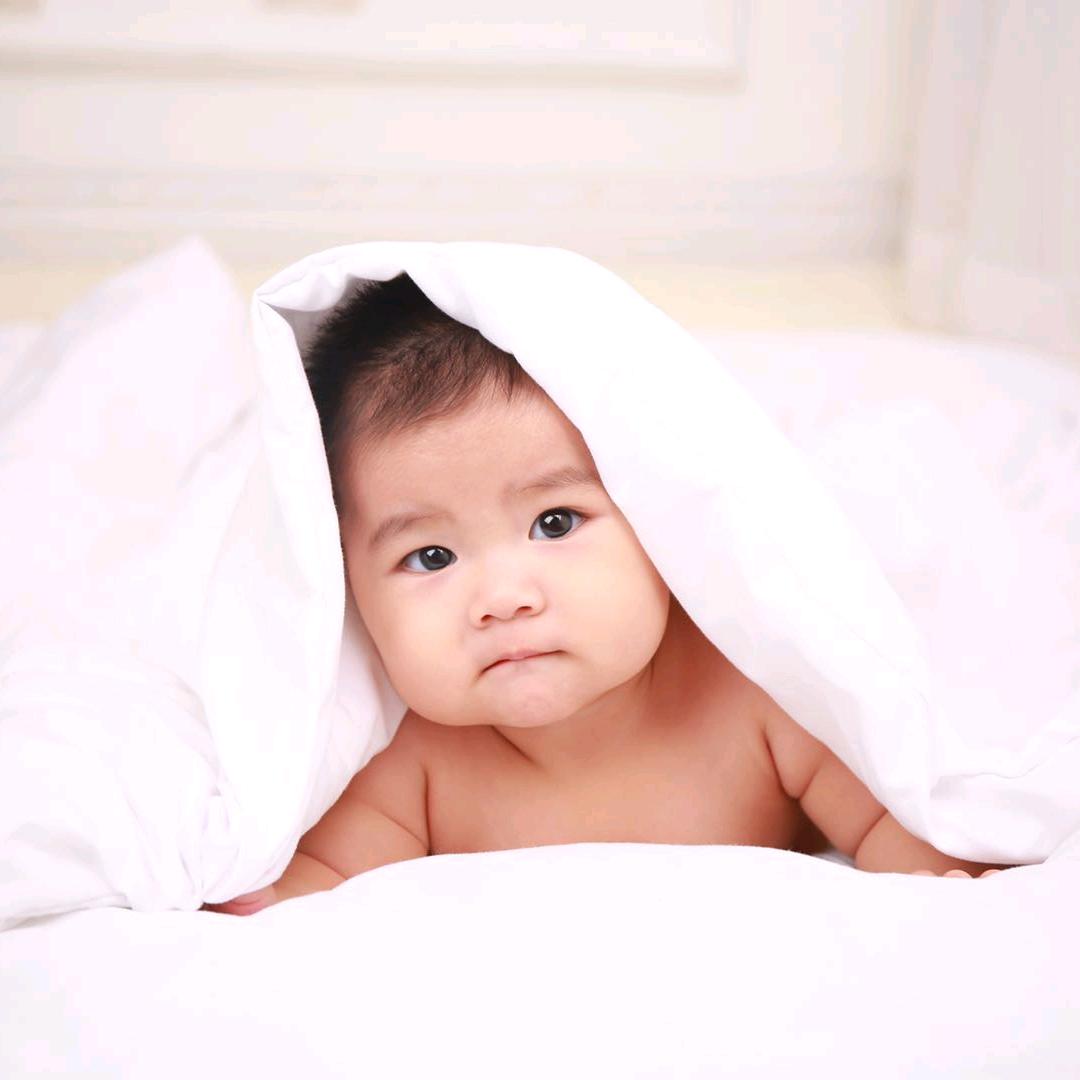 xiao強263