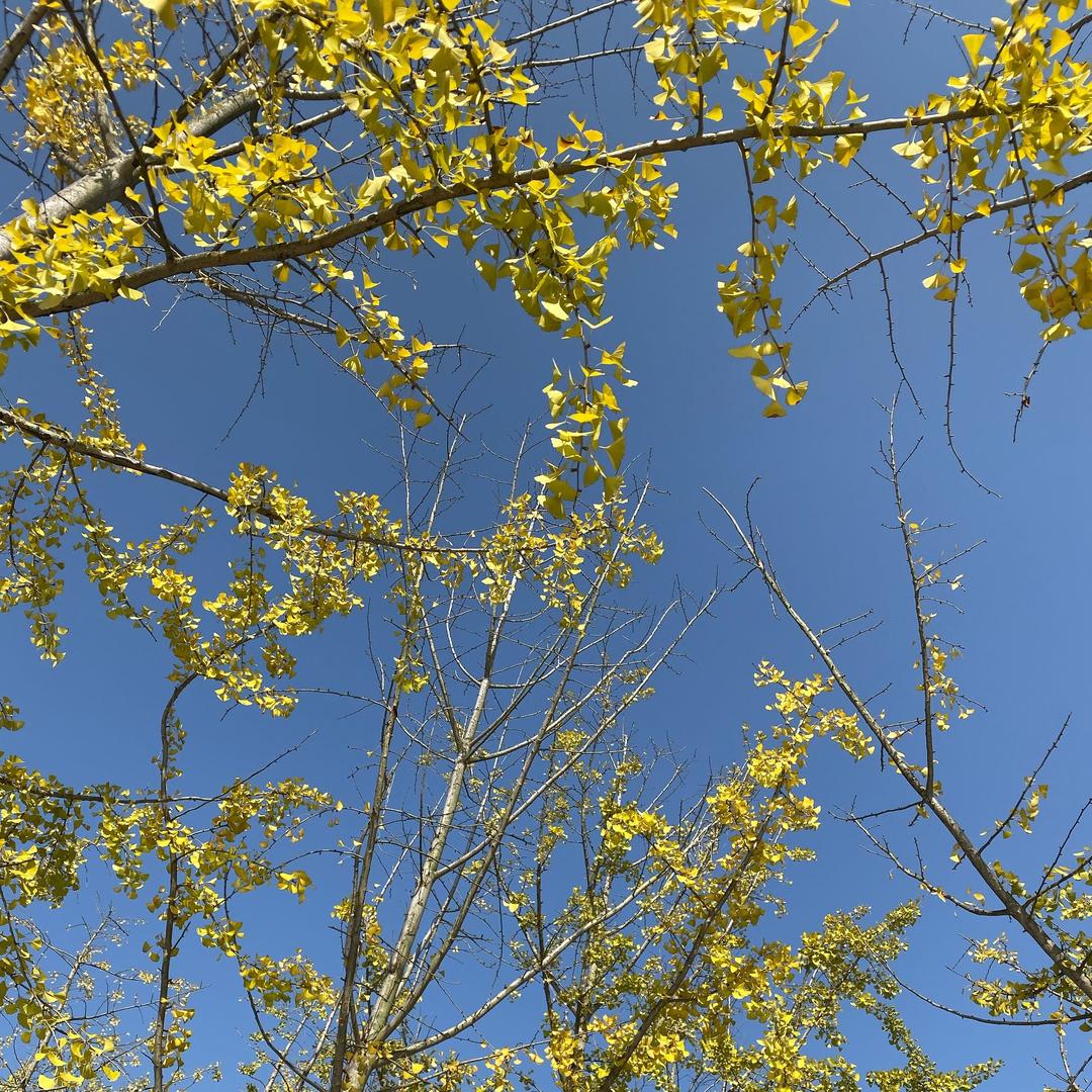 永川不止面包官方号