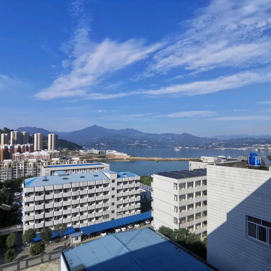 寒冬