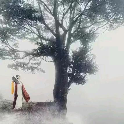 雕老三