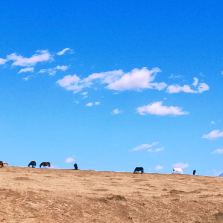 天府锦上·云酒店（天府国机场店）
