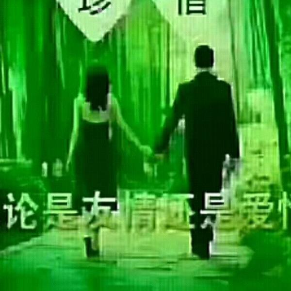 人走爱未凉