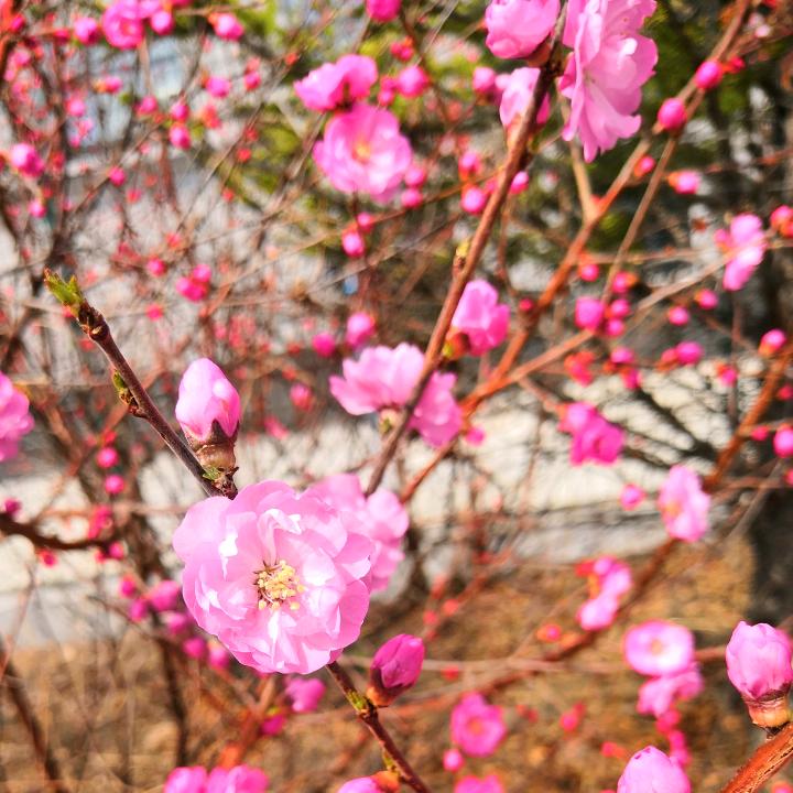阳光