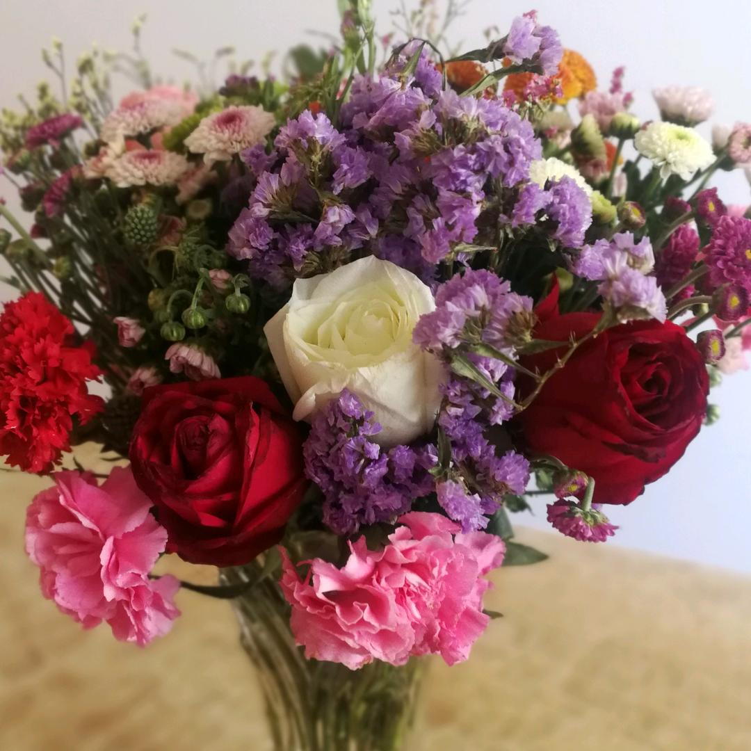 长着翅膀的老鼠