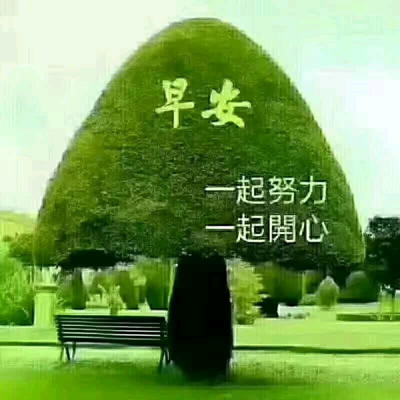 梦想成金（真）