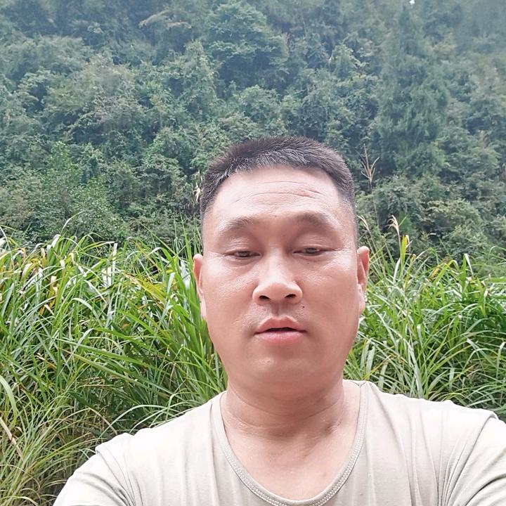 孤独疯