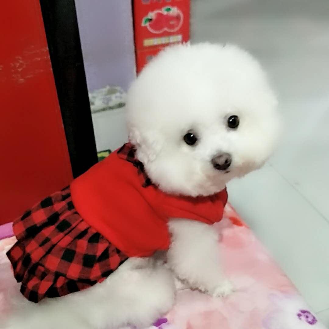 落幕无悔
